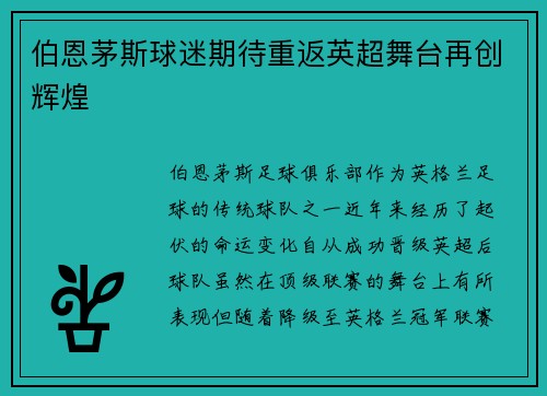 伯恩茅斯球迷期待重返英超舞台再创辉煌
